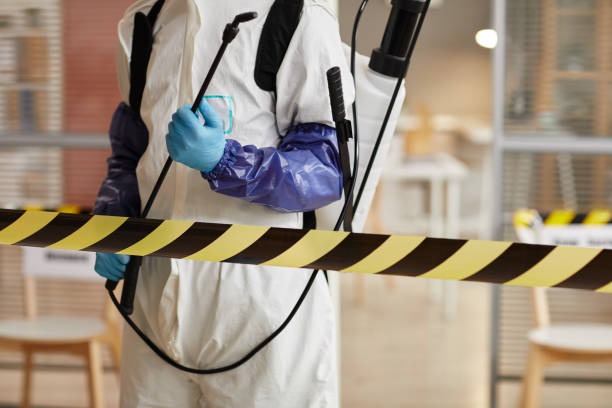 Professional Sewage Cleanup technician working in Lumberton, TX